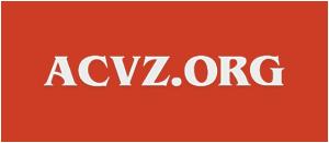 Casino zonder CRUKS - De beste casino's zonder CRUKS 2025 De beste casino's zonder CRUKS