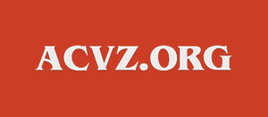 Casino zonder CRUKS - De beste casino's zonder CRUKS 2025 De beste casino's zonder CRUKS